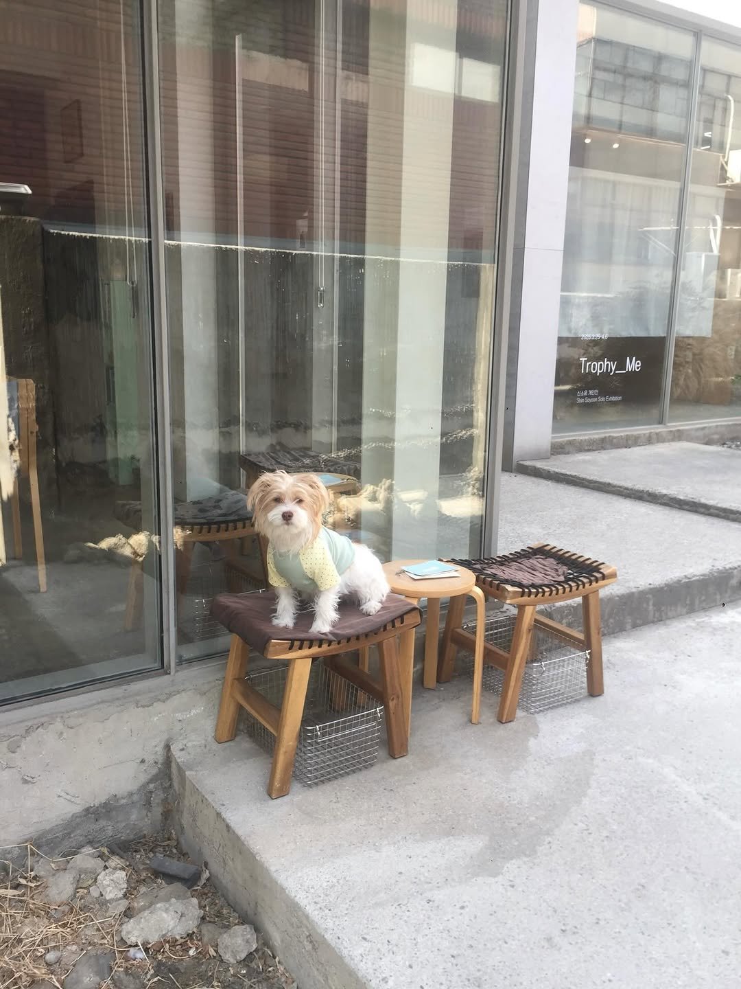 tumcoffeehouse 게시물 이미지: 날씨가 너무 좋아요! 🌱🍏📗🍃🍬🍋‍🟩👒
요즘 같은 날씨에는 선선한 바람을 느낄 수...