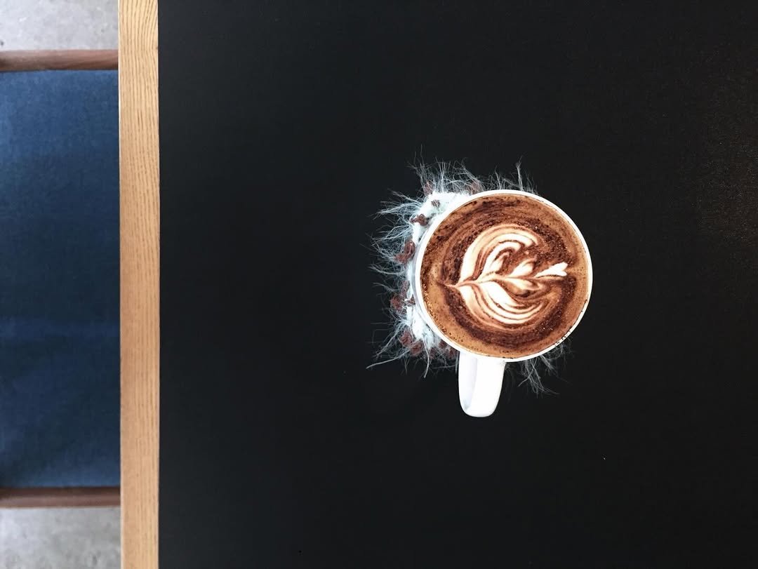 tumcoffeehouse 게시물 이미지: 메뉴판에는 없지만 종종 찾아주시는 카푸치노!
텀에서는 코코아 파우더가 올라가는...