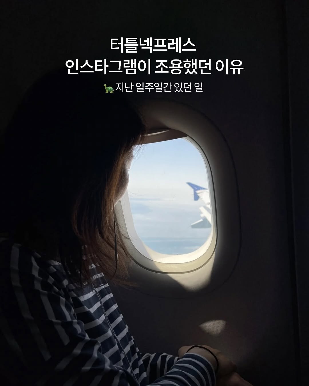 turtleneck_press 게시물 이미지: 🐢그간 조용했던 이유...

새 책 마감, 
제1회 터틀넥프레스 해외...