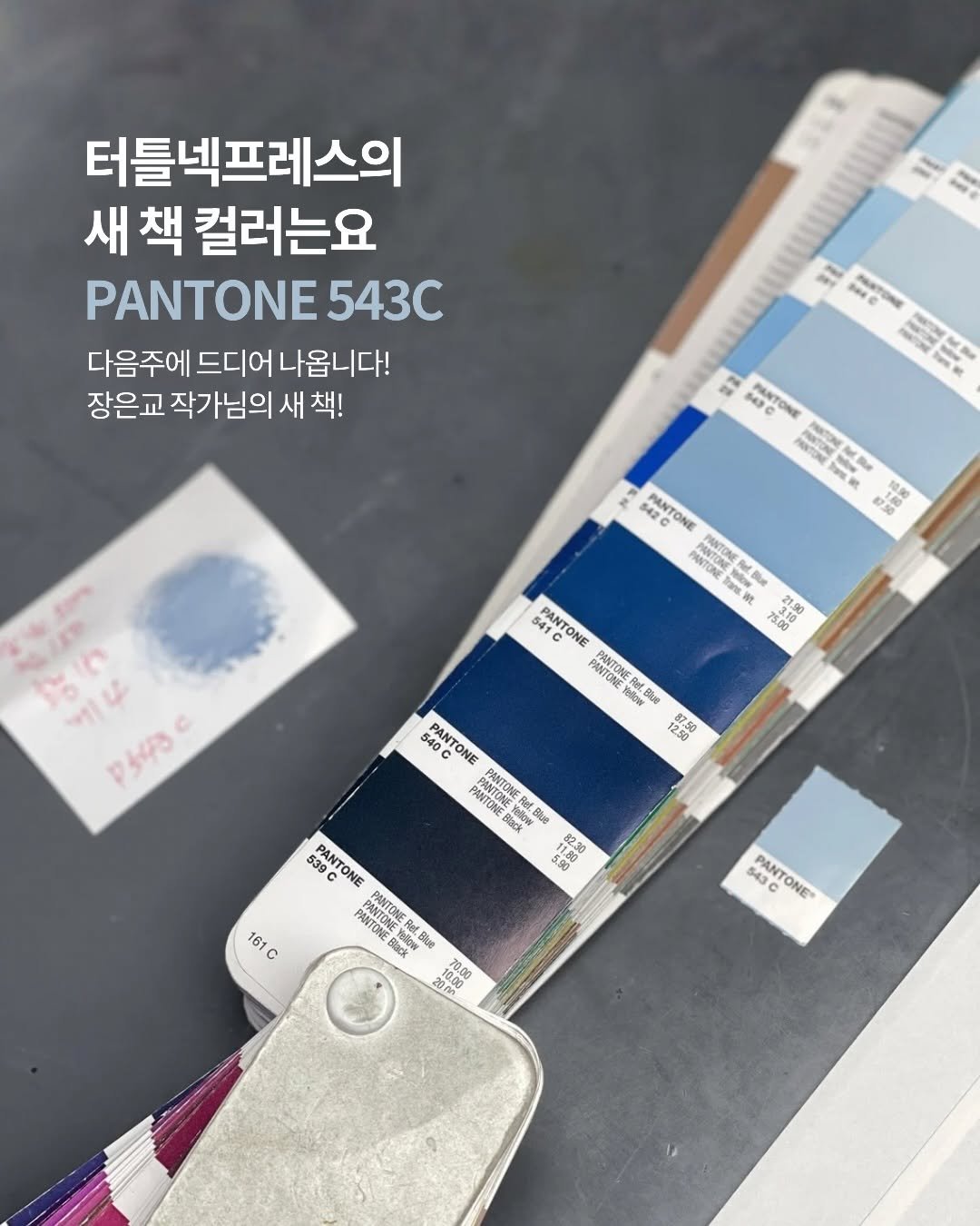turtleneck_press 게시물 이미지: 🐢참지 못하고 소리 지릅니다

거북목 멤버들!!!
새 책이 나와요!!!
새...