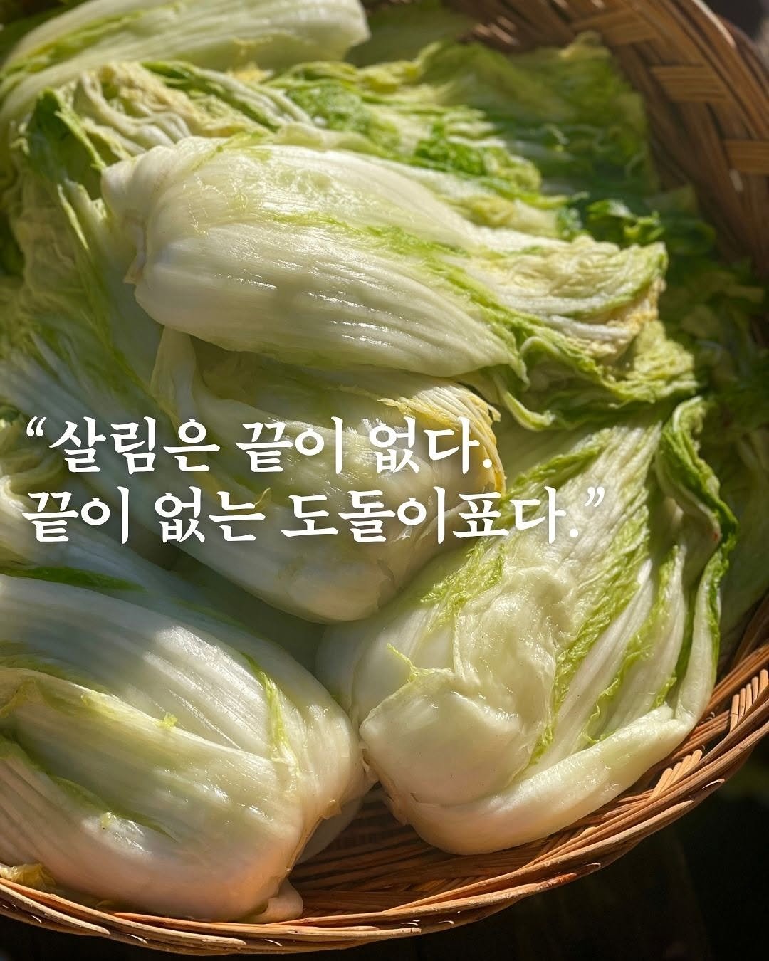 Photo shared by 터틀넥프레스 on November 12, 2025 tagging @kazmikgirl. May be an image of cabbage and text that says '"살림은 끝이 끝이없다. 없다 끝이 없는 도돌이표다. 이표다'.