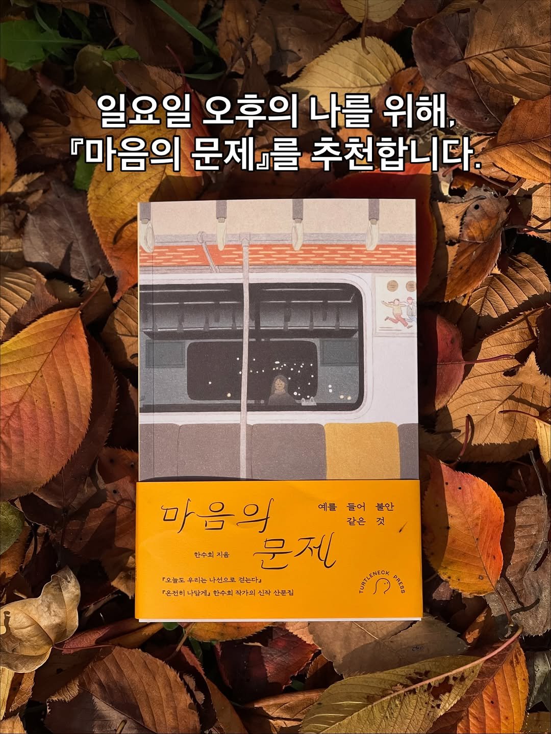 Photo shared by 터틀넥프레스 on November 06, 2025 tagging @kazmikgirl. May be an image of book, magazine, poster and text.