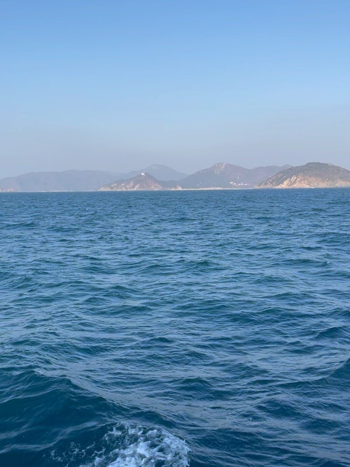 turtleneck_press 게시물 이미지: 🐢섬에 있습니다. 

자연인으로서 자기소개를 할 때
“섬개술을 좋아합니다”라고...