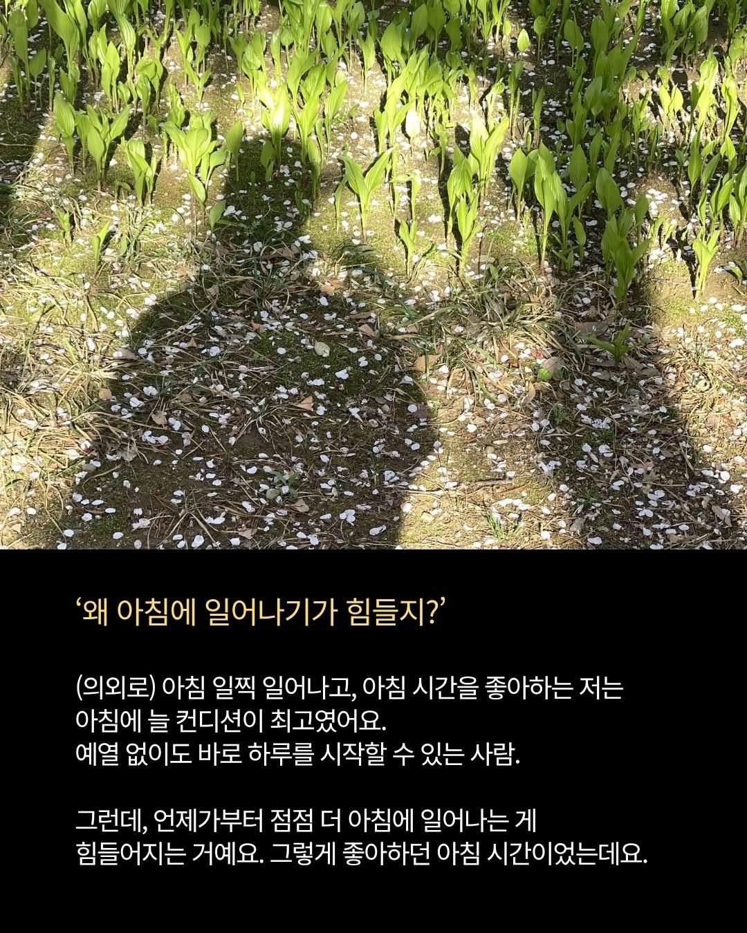 Photo by 터틀넥프레스 on April 16, 2026. May be an image of text that says ''왜 아침에 일어나기가 힘들지?' (의외로) 아침 일찍 일어나고, 아침 시간을 좋아하는 저는 아침에 늘 컨디션이 최고였어요. 예열 없이도 바로 하루를 시작할 수 있는 사람. 그런데, 언제가부터 점점 더 아침에 일어나는 게 힘들어지는 거예요. 그렇게 좋아하던 아침 시간이었는데요.'.