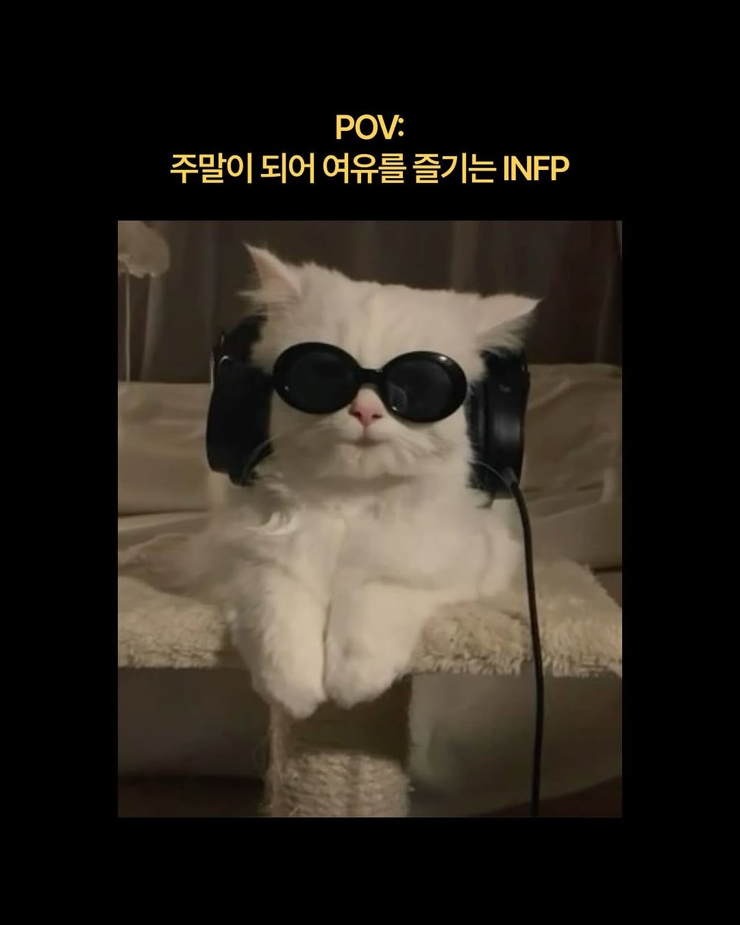 twinkle_infp 게시물 이미지: 24시간 누워있기 쌉가능 🥺💦

 #mbti #짤 #공감 #추천 #infp