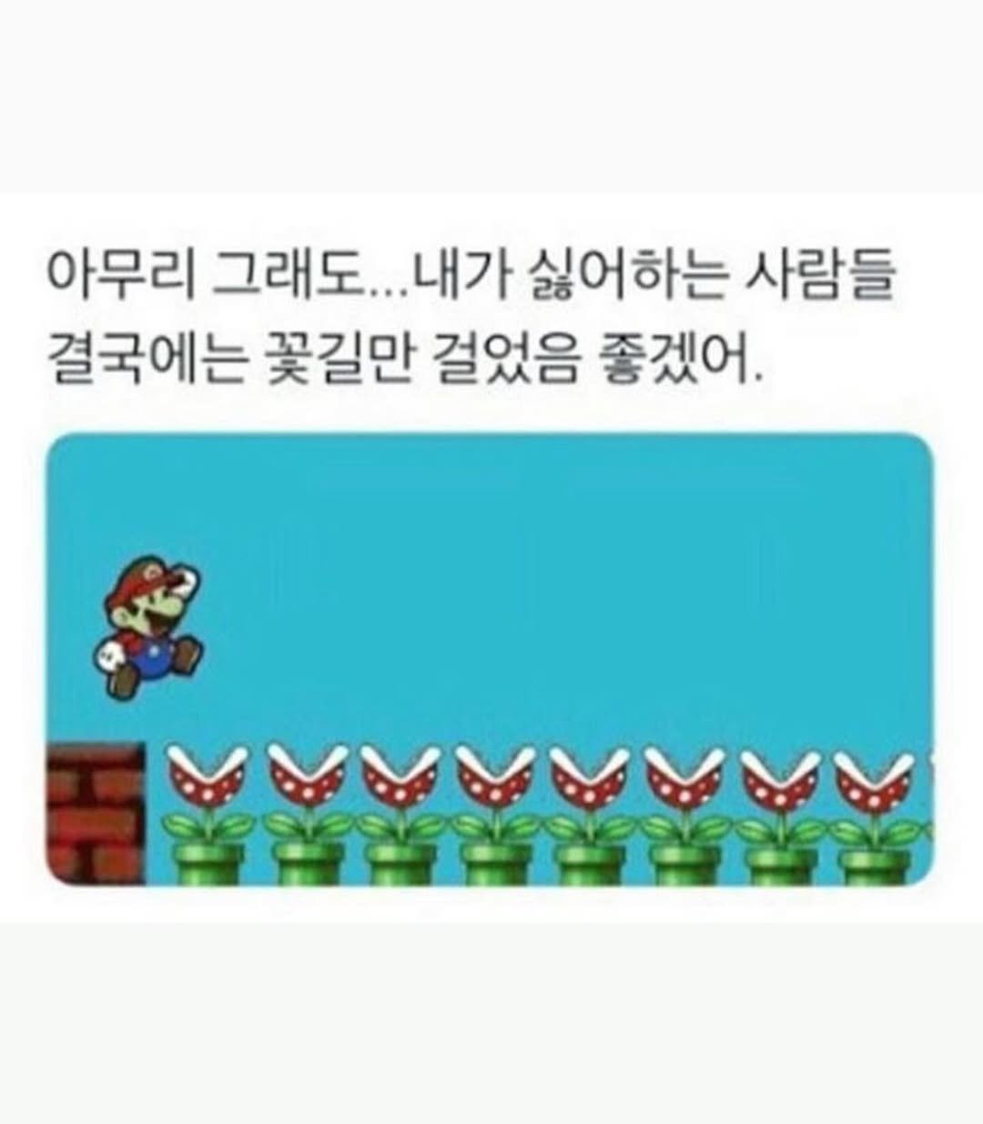 Photo by 트윙클 인프피 요정💫 on July 21, 2024.