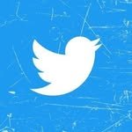 twitter 인스타그램 프로필 사진