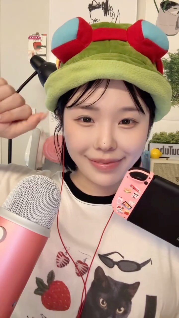 twoarmzzang 게시물 이미지: 닌텐도 동물의 숲으로 asmr을 할 수 있을까?