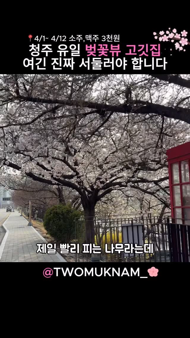 twomuknam_ 게시물 이미지: 이미 아시는 분들도 있으시겠지만

청주에서 유일하게
벚꽃을 보면서

소고기를 먹을...