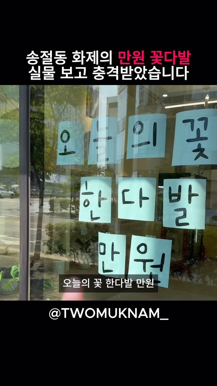 twomuknam_ 게시물 이미지: 송절동에서 가장 따뜻한 꽃집을 찾았습니다.

처음엔 ’꽃다발이 단돈 1만...