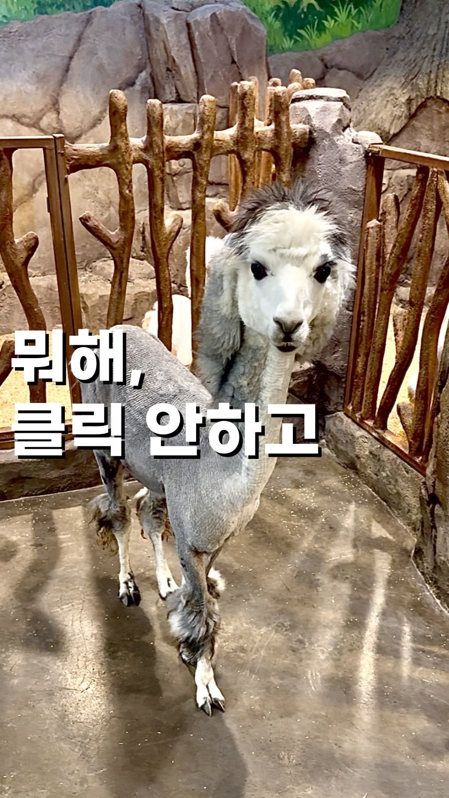twomuknam_ 게시물 이미지: 📣체험권 댓글 이벤트📣

댓글 남겨주시는 팔로워분들께

4인가족 입장권 및...
