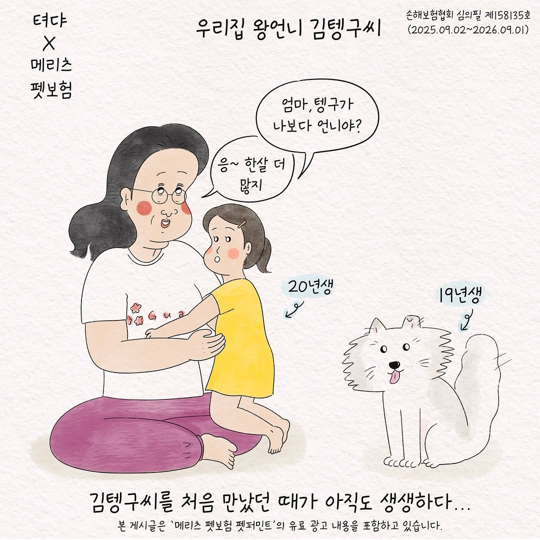 Photo shared by 텨댜 일상을 담은 인스타툰 on September 07, 2025 tagging @meritzfire_official. May be an illustration of ‎text that says '‎텨댜 X 메리츠 펫보험 우리집 왕언니 김뎅구씨 손해보험협회 심의필 제| 제5 158135室 (2025.09.02~2026.09.01) (2025.09.02 엄마, 탱구가 나보다언니야? 나보다 언니야? 응~ 한살 응~한살더) 더 많지 20년생 سو 19년생 ปี้ 김탱구씨를 처음 만났던 때가 아직도 생생하다... 본 게시글은 '메리츠 펫보험 펫퍼민트 의 유료 광고 내용을 포함하고 있습니다.‎'‎.