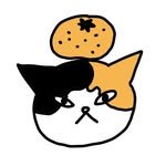 seo_gyul 프로필 사진