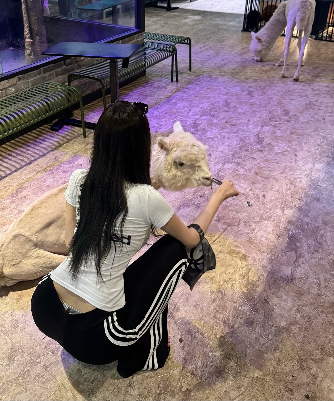 Photo shared by 뉴앤비 유빈 on July 14, 2025 tagging @u.u.b.2.