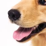 u_ellephant 인스타그램 프로필 사진