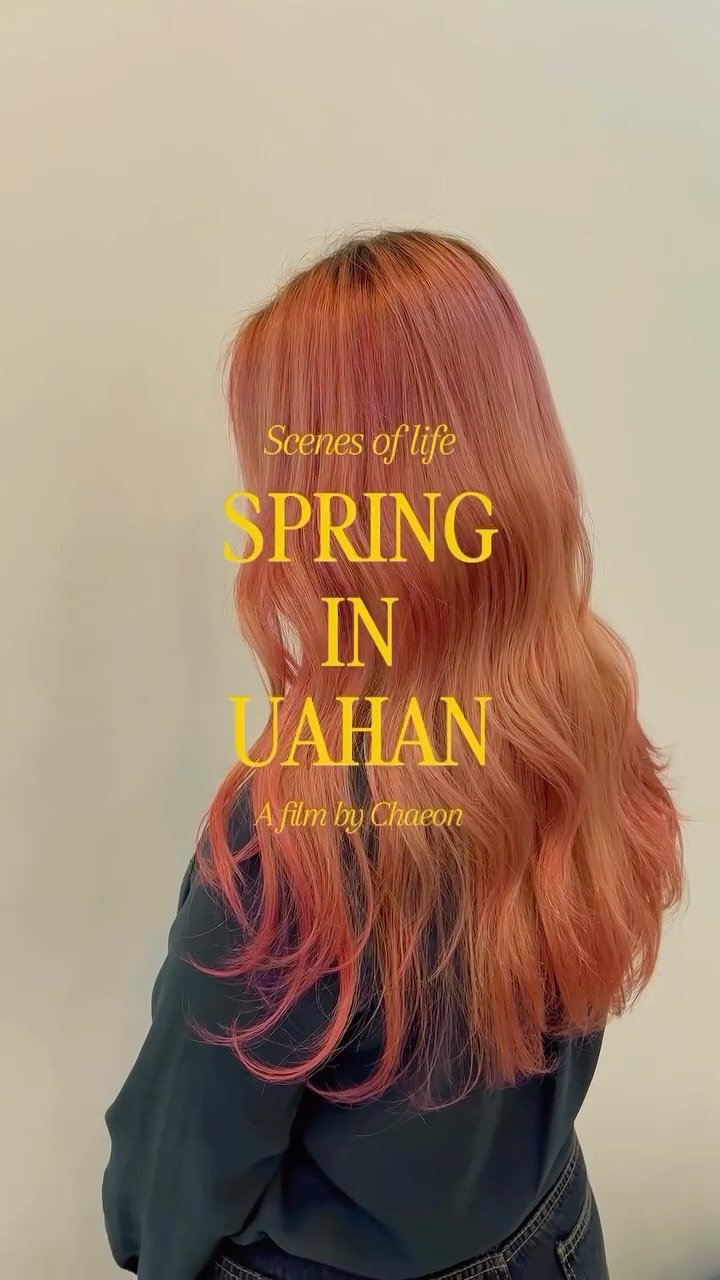 uahan_hair 게시물 이미지: 🌸 우아한 헤어 홍대 합정점 이벤트 🌸

✨ 무제한 백금발 패키지 199,000
 ...