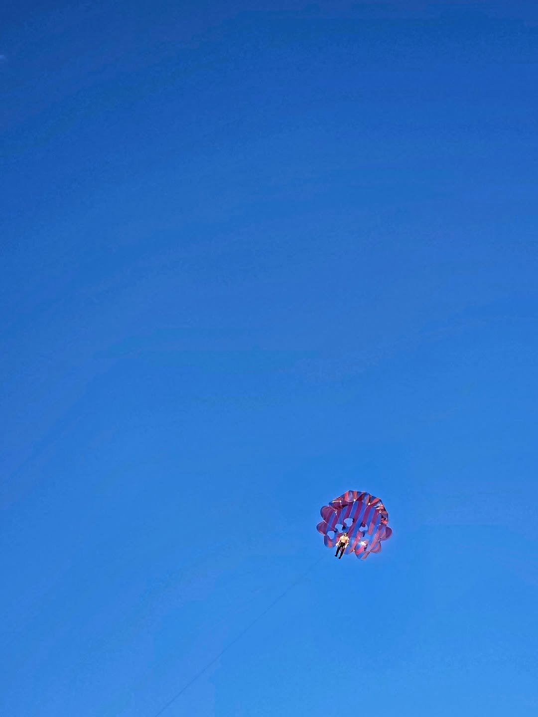 Photo by jhope on August 04, 2025. May be an image of parasail, kite, parachute, balloon and text.