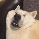 rm_bts 프로필 사진