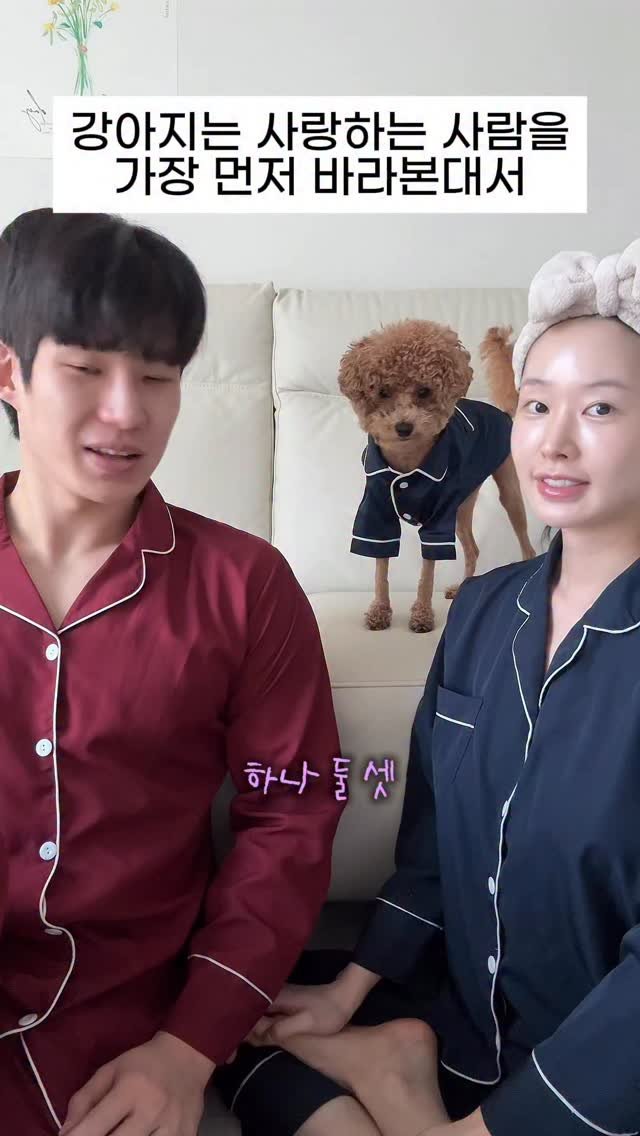 uccouple 게시물 이미지: 와 이거 진짜 상천데요….
(눈물을 닦으며) 여러분들도 한번 해보세요💦
-
#강아지...