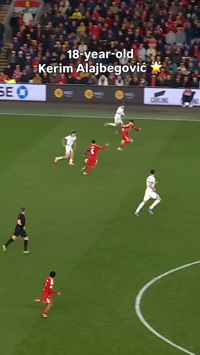 uefaeuro 게시물 이미지: Bosnia and Herzegovina’s newest star 🌟