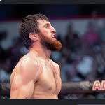 ankalaev_magomed 프로필 사진