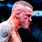 dustinpoirier 프로필 사진