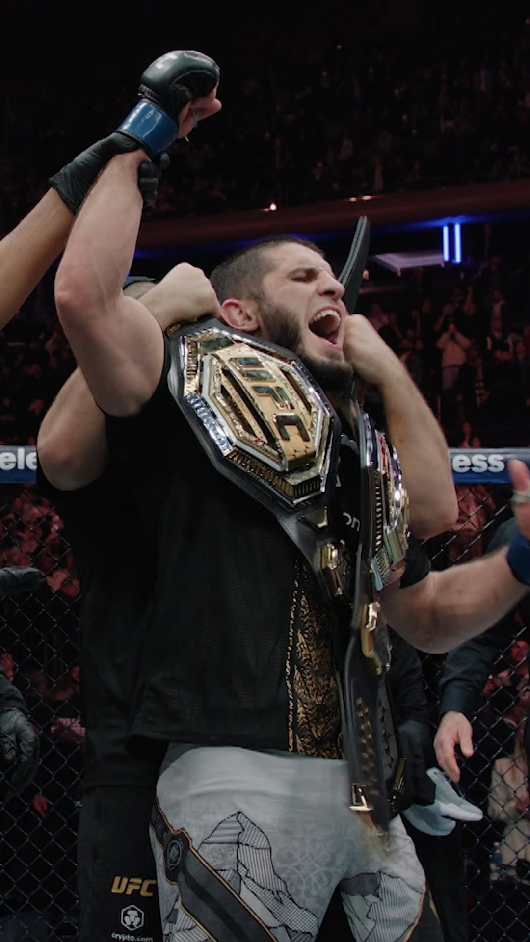 ufc 게시물 이미지: The Champs heading into 2026 🏆