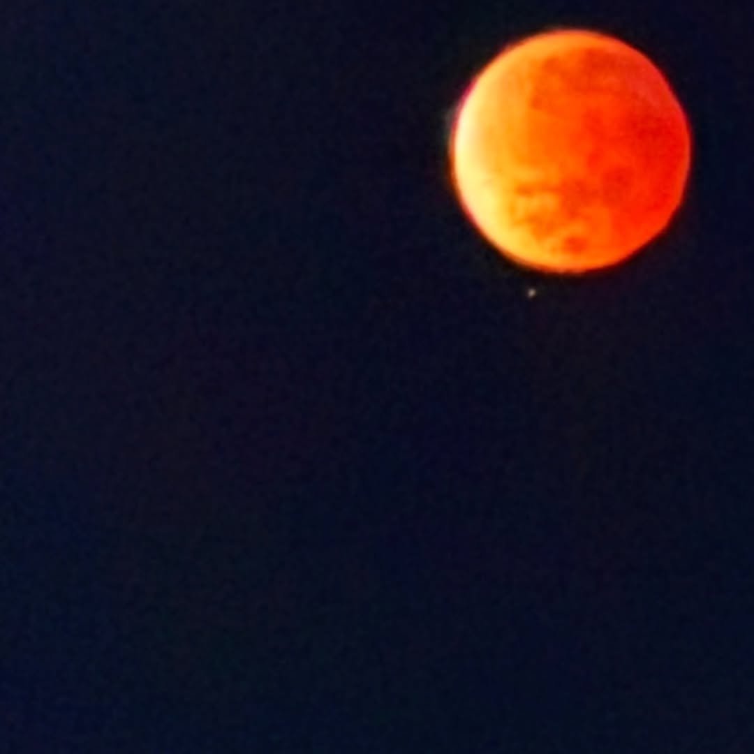 Photo by 안채연 어글리레몬| 푸드컨설턴트  | 우리가족 보약 스무디 on March 03, 2026. May be an image of eclipse and text.