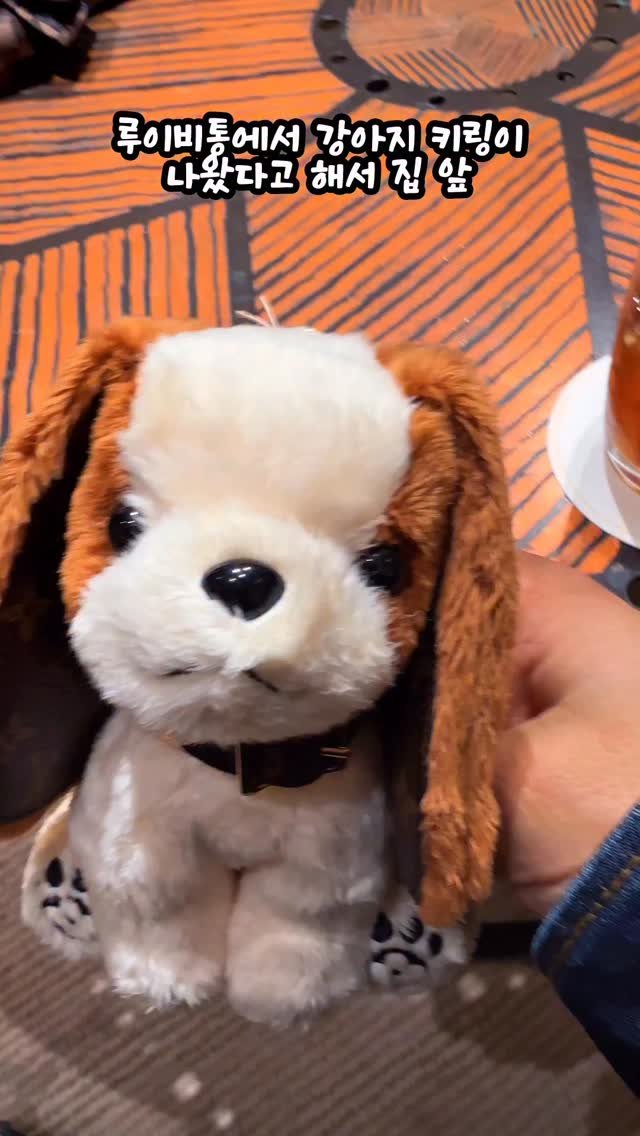 uhbee_rurucheche 게시물 이미지: 루이비통에서 강아지 키링이 나왔다고해서
집앞 청담 루이비통 매장에...