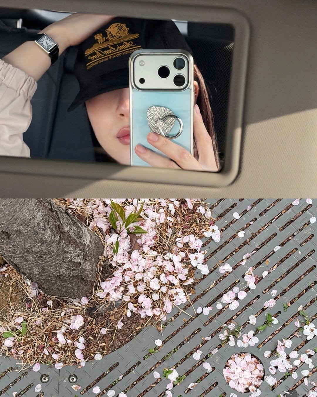 uhwa_beauty 게시물 이미지: 이맘때 없으면 서운한 벚꽃 사진〰️🌸