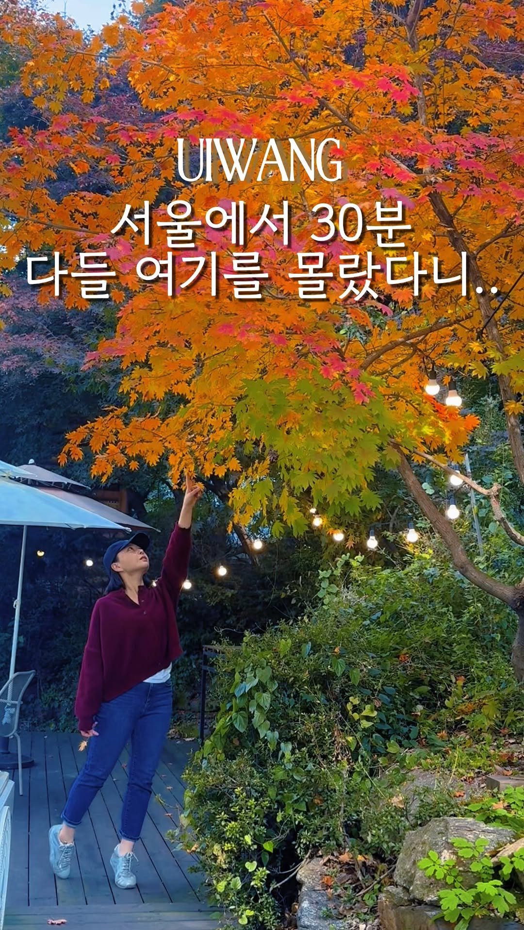 uiwangcity 게시물 이미지: 아늑하게 단풍즐기는 의왕카페
“손커피연구소 오메기점”

커피 맛집, 예쁜 카페로...