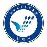 boryeongsi 프로필 사진