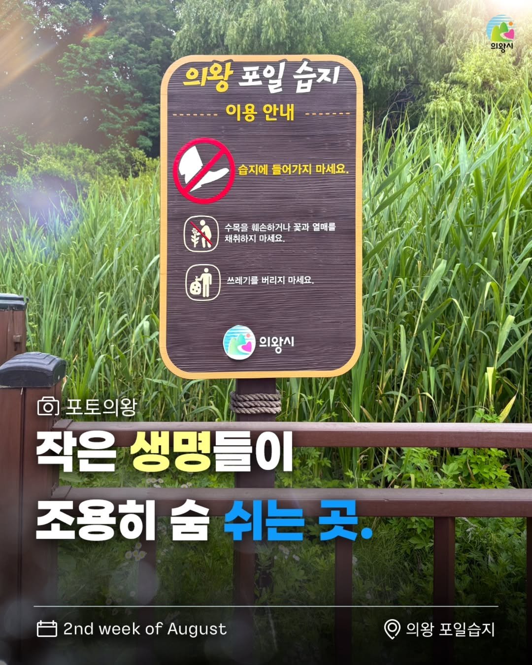 Photo by 의왕시 on August 12, 2025. May be an image of text that says '의왕사 의왕 포일 습지 ......이용안내...... 이용 안내 습지에 들어가지 마세요. 新 수목을 훼손하거나 꽃과 열매를 채취하지마세요. 채취하지 마세요. ااه 쓰레기를 쓰레기를버리지마세요. 버리지 마세요. 의왕시 ច 포토의왕 NTYE 작은 생명들이 Οι 조용히 舍 쉬는 곳. 2nd week of August 의왕 포일습지'.