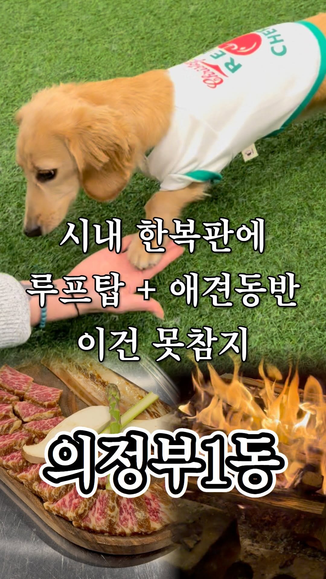 ujb_loyalty 게시물 이미지: 음식,술,강아지 좋아하면 도파민 터지는 곳

👊 야하개 X 담소육가...