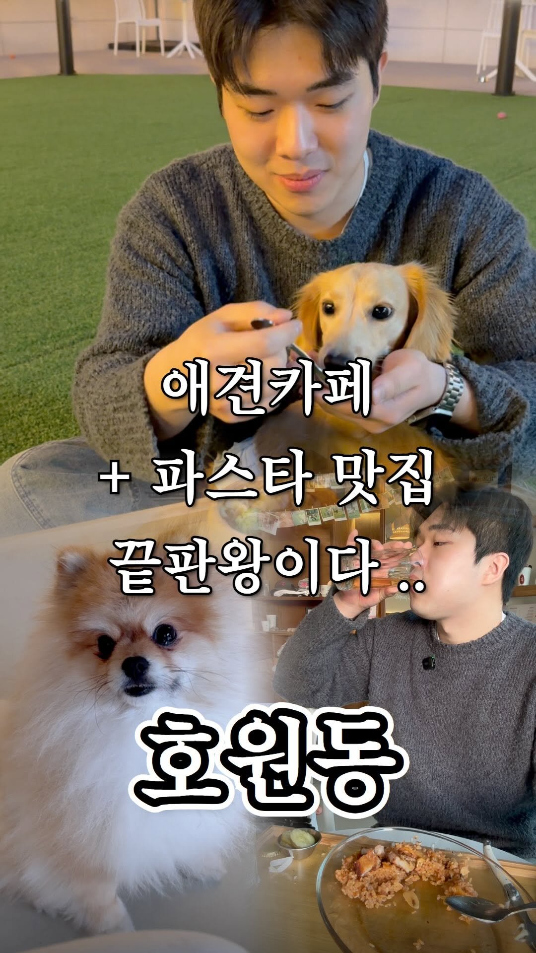ujb_loyalty 게시물 이미지: 애견카페인데 음식이 다른 음식점 퀄리티보다 괜찮은듯

👊 에이엔티 우프라운지...