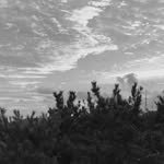 zettt_d 프로필 사진