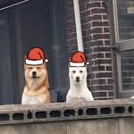 miju_gallery 프로필 사진