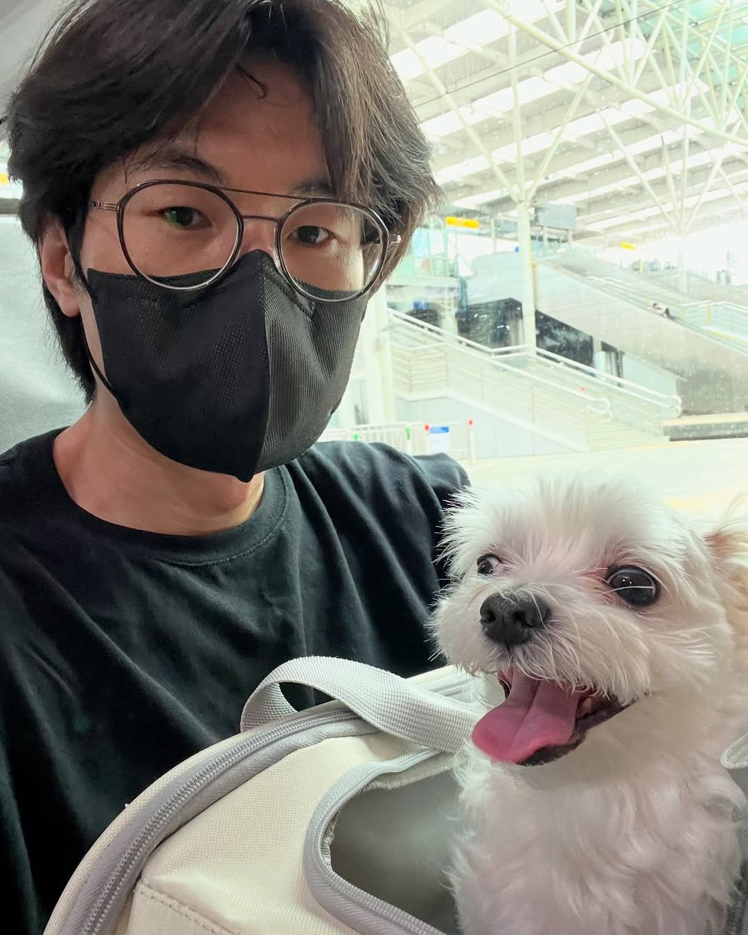Photo by 리히트 책방 on June 02, 2025. May be an image of Maltese.