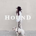 houndcollection 프로필 사진