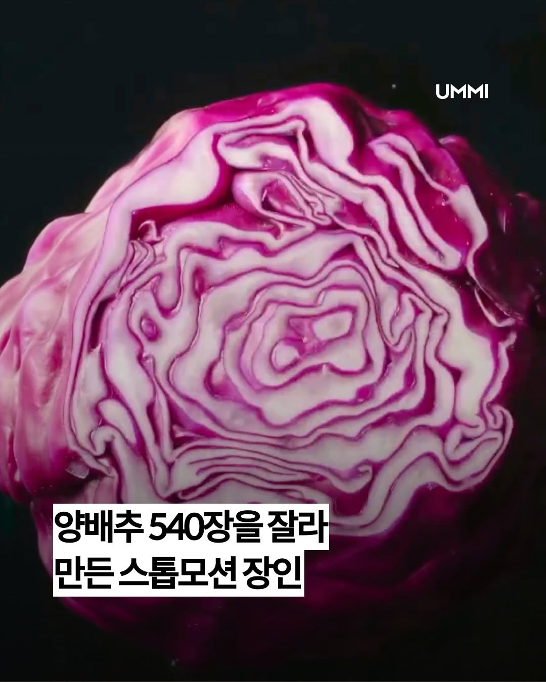 ummi_magazine 게시물 이미지: 미친 퀄리티의 스톱모션 장인, @l__evans를 소개합니다.

대학 졸업 작품이...