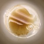 wedaon_ 프로필 사진