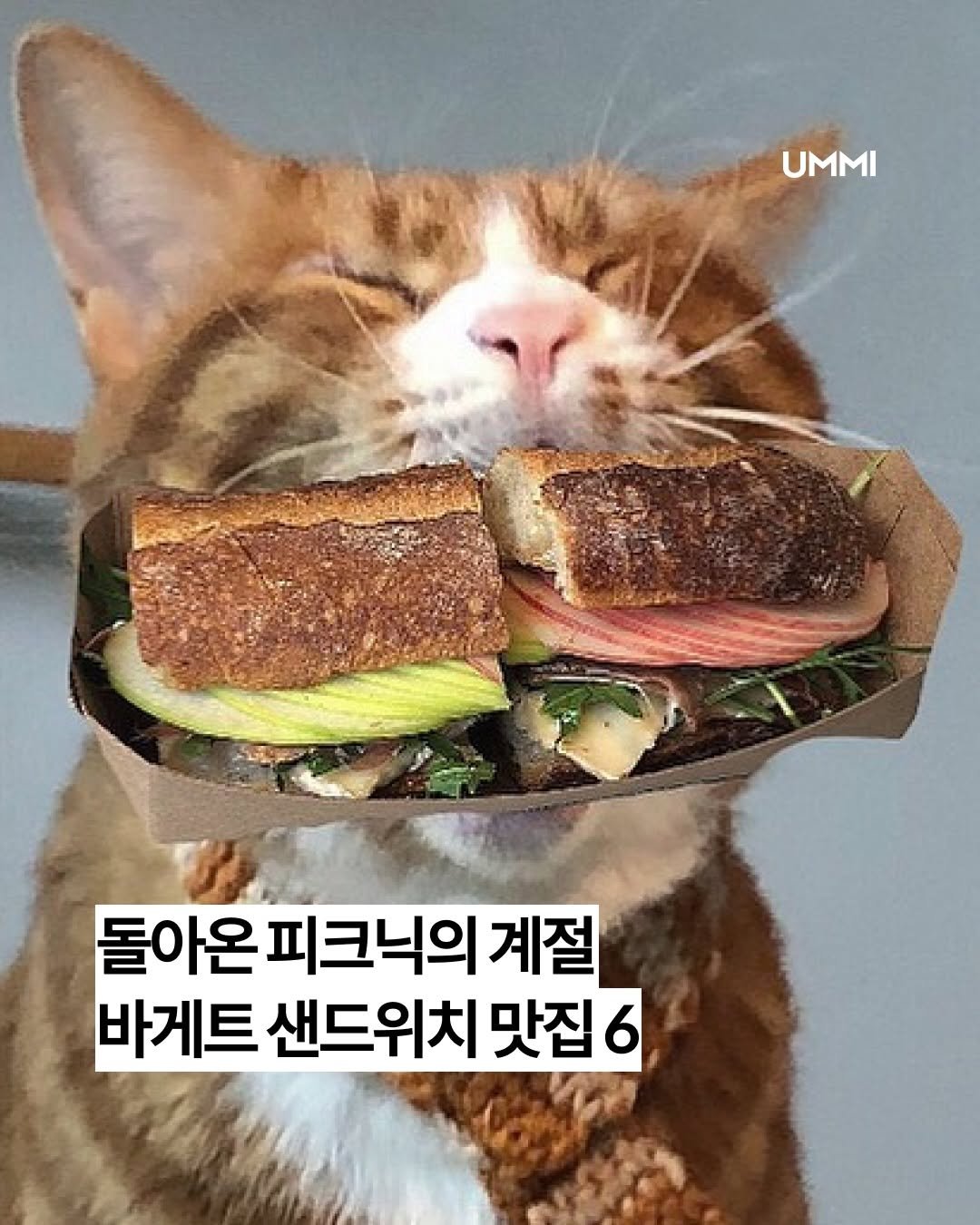 Photo by UMMI Magazine 매거진 음미 on April 25, 2026. May be an image of sandwich, bread and text that says 'UMMI UMMI 돌아온 피크닉의 계절 바게트 샌드위치 맛집 맛집6 6'.