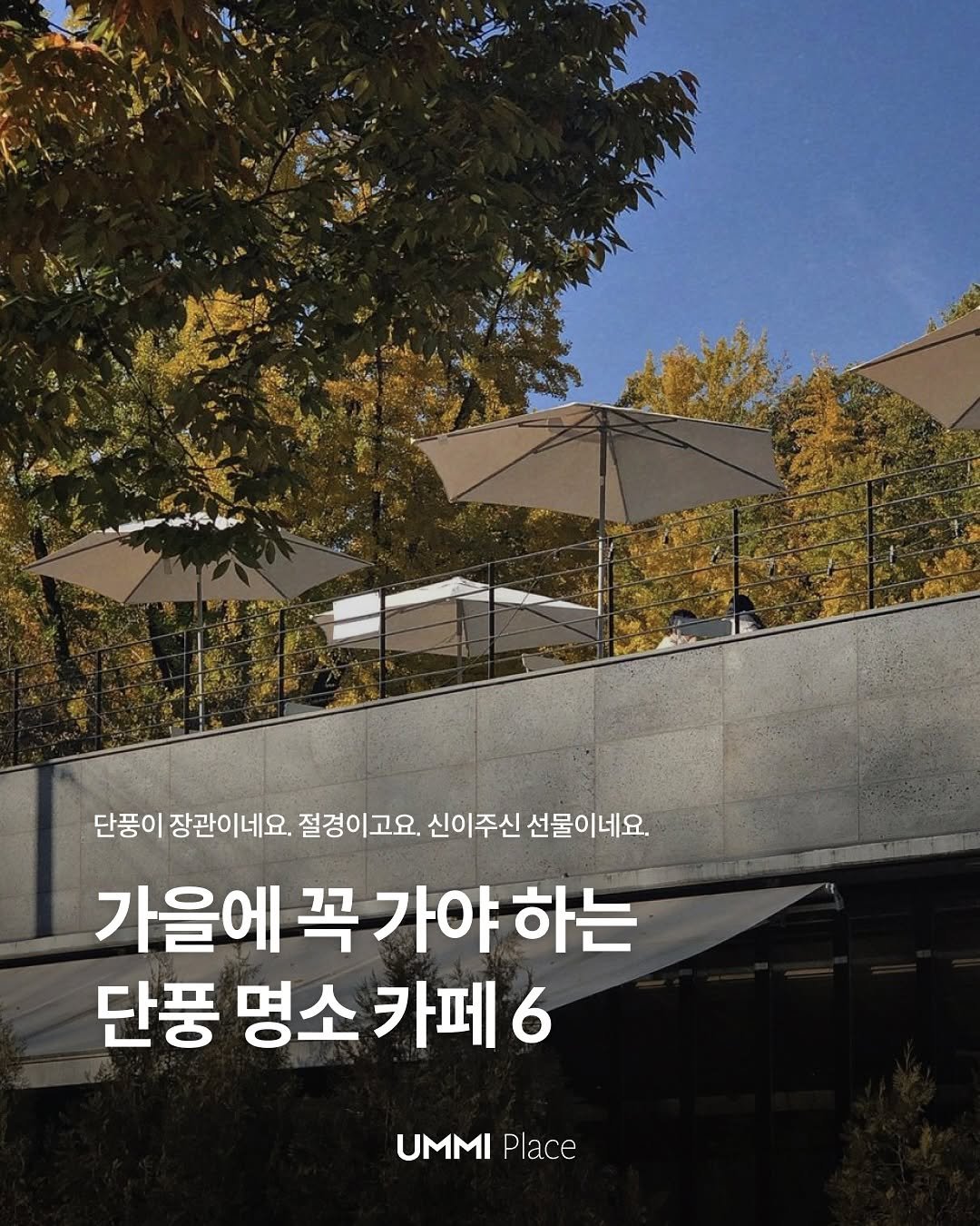 Photo by UMMI Magazine 매거진 음미 on October 05, 2025. May be an image of outdoors and text that says '단풍이 장관이네요. 절경이고요. 신이주신 선물이네요. 가을에 꼭 을에꼭가야하는 가야 하는 단풍 명소 카페 6 UMMI Place'.