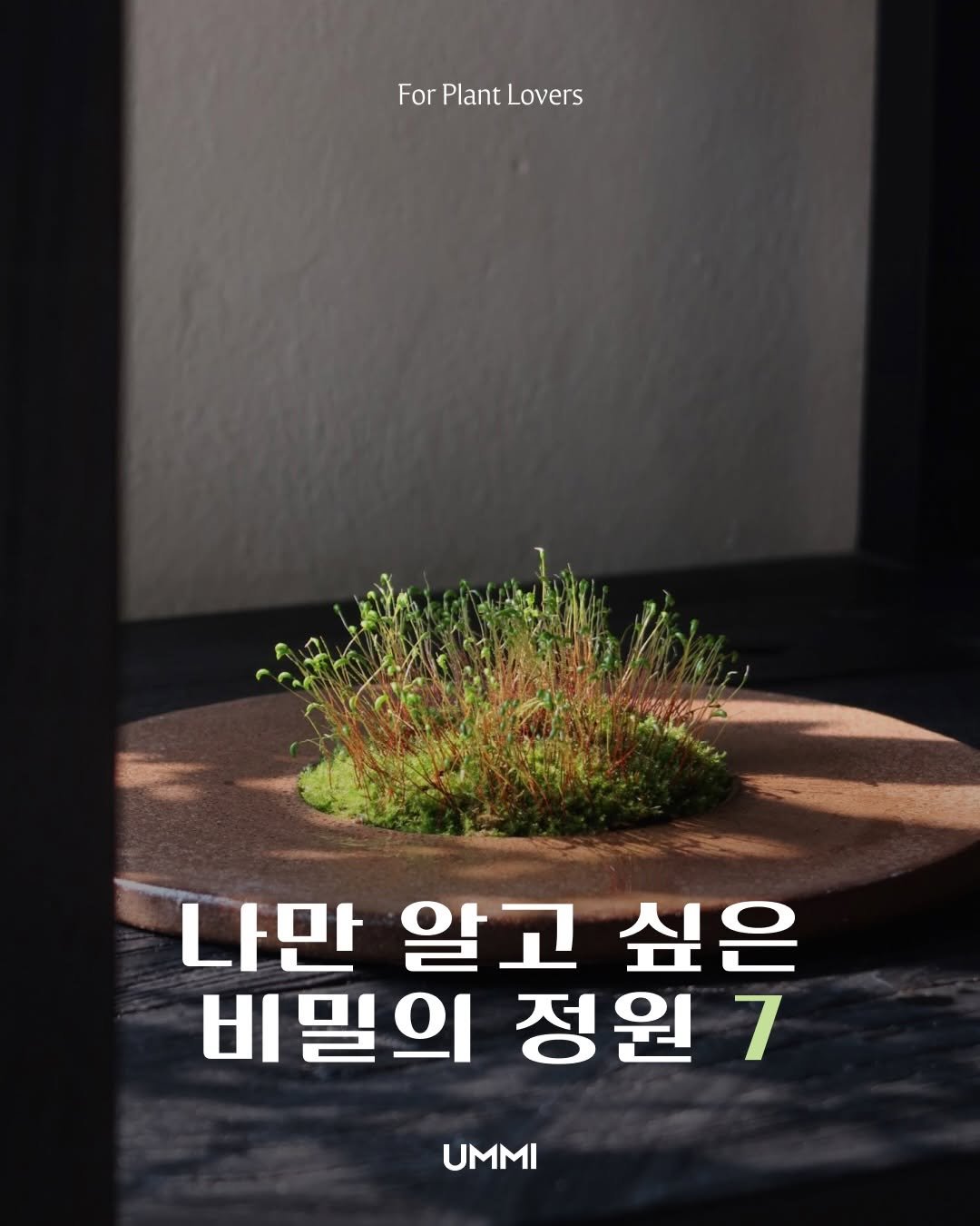 ummi_magazine 게시물 이미지: 도심 속 초록을 품은 식물 가게 5곳을 소개합니다. 공간을 채울 식물부터 감각적인...