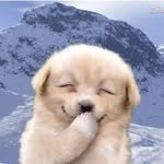 zzal_oppa_ 프로필 사진