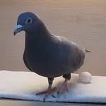 jjeol99999 프로필 사진