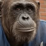 duckbin2 프로필 사진