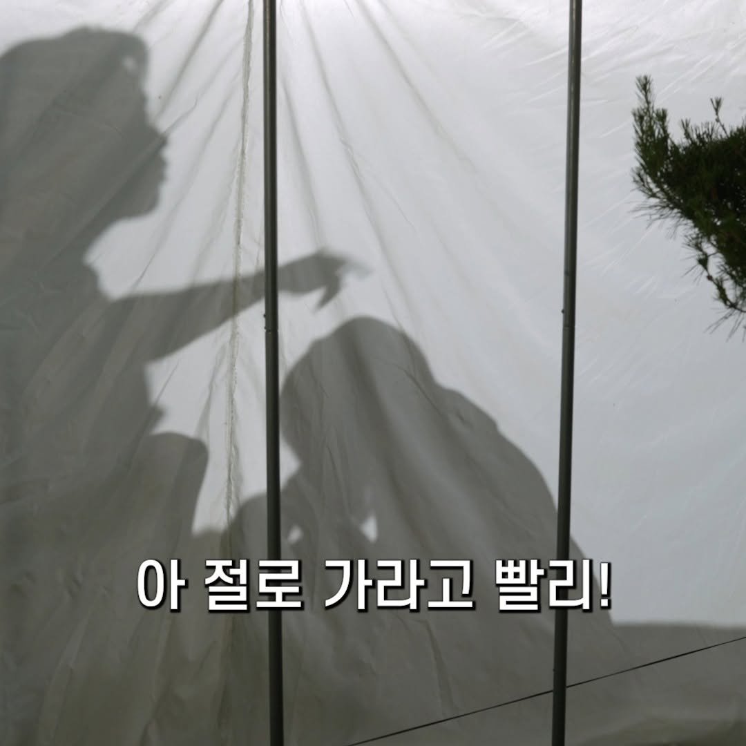 un_expected_film 게시물 이미지: 예상치 못한 그림자 쇼