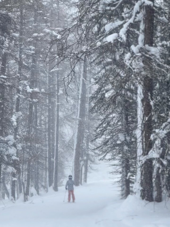 unane_home 게시물 이미지: 동화 같은 날들이다. 
어릴 때 읽던 동화 속 풍경이 눈앞에 그려지는 낮과 밤....