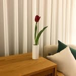 pony_home 프로필 사진